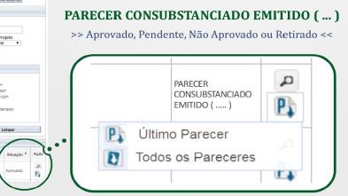 parecer cep
