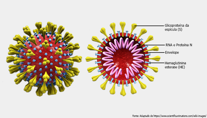 Figura 1