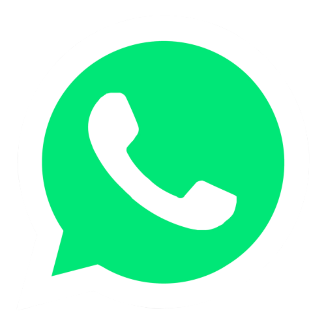 icon whatsapp