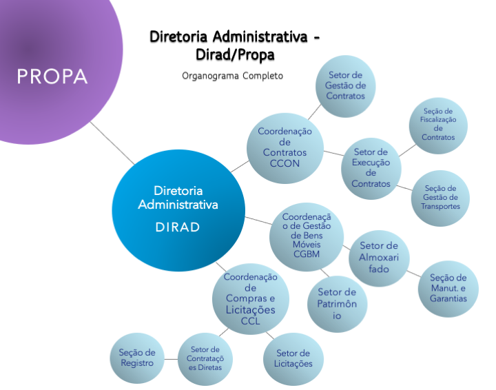 Organograma completo Dirad