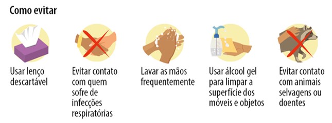 Imagem2.jpg